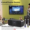 Home KTV Speakers